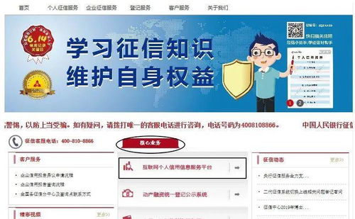 征信报告全解析 内容、查询方式与个人互联网服务指南